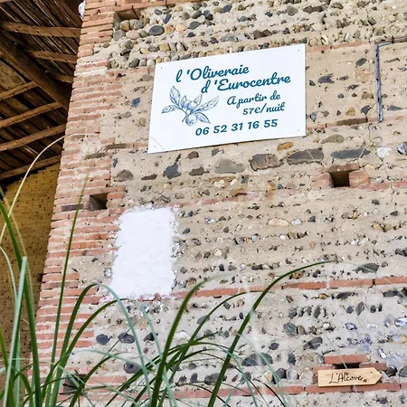 L'oliveraie D'eurocentre - Toulouse Nord بيت ضيافة
